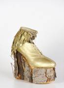 Grazy Shoe Award_Modell Goldregen 