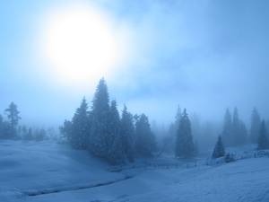 Winter.jpg