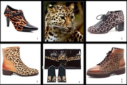 Schuhe und Stiefel mit Leopardenmuster sind effektvolle Hingucker. Auf hochwertigen Materialien kommt der Leolook jetzt besonders elegant und hochwertig zur Geltung und passt zurückhaltend eingesetzt auch zum Business-Outfit.