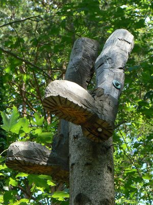 Wandern auf dem "Hauensteiner Schusterpfad"<br />