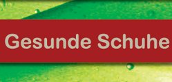 [title] - Unter dem Gütezeichen „Gesunde Schuhe“ arbeiten bundesweit   Fachhändler nach hohen Qualitätsstandards und individuelle Analysen mit modernen Diagnostiksystemen anbieten.